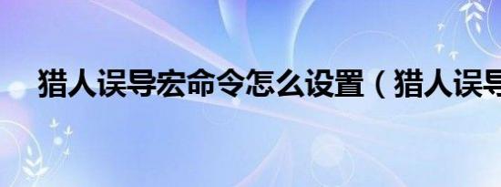 猎人误导宏命令怎么设置（猎人误导宏）