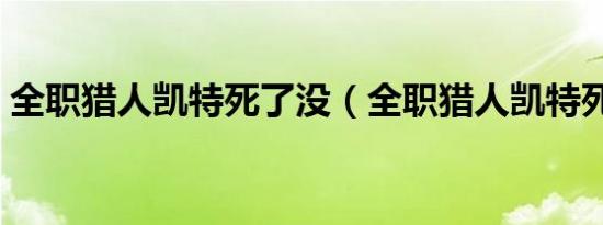 全职猎人凯特死了没（全职猎人凯特死了吗）