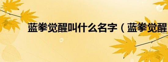 蓝拳觉醒叫什么名字（蓝拳觉醒）