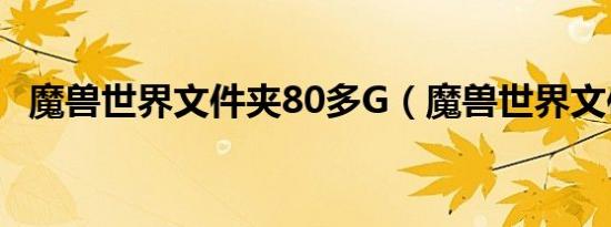 魔兽世界文件夹80多G（魔兽世界文件夹）
