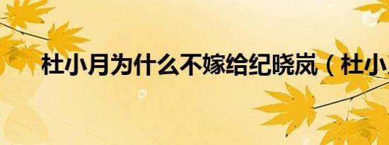 杜小月为什么不嫁给纪晓岚（杜小月）