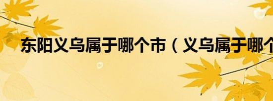 东阳义乌属于哪个市（义乌属于哪个市）