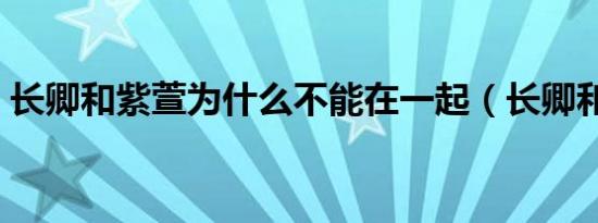 长卿和紫萱为什么不能在一起（长卿和紫萱）