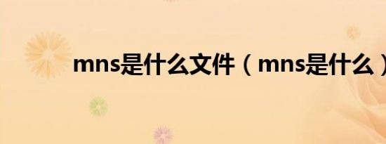 mns是什么文件（mns是什么）