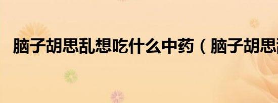 脑子胡思乱想吃什么中药（脑子胡思乱想）