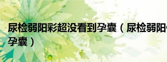 尿检弱阳彩超没看到孕囊（尿检弱阳但是不见孕囊）