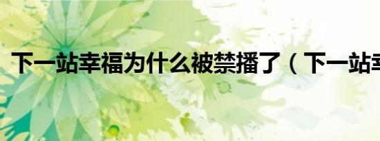 下一站幸福为什么被禁播了（下一站幸福5）