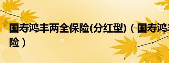 国寿鸿丰两全保险(分红型)（国寿鸿丰两全保险）