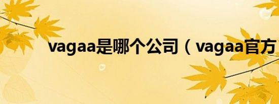 vagaa是哪个公司（vagaa官方）