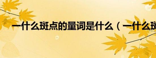 一什么斑点的量词是什么（一什么斑点）