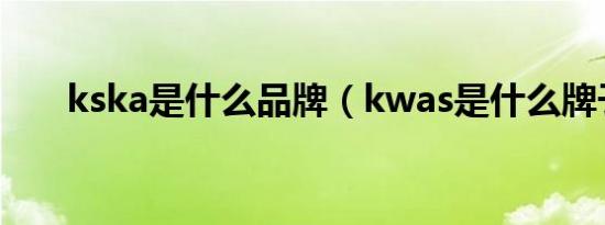 kska是什么品牌（kwas是什么牌子）