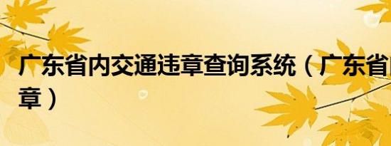 广东省内交通违章查询系统（广东省内交通违章）