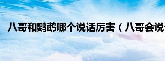 八哥和鹦鹉哪个说话厉害（八哥会说话吗）