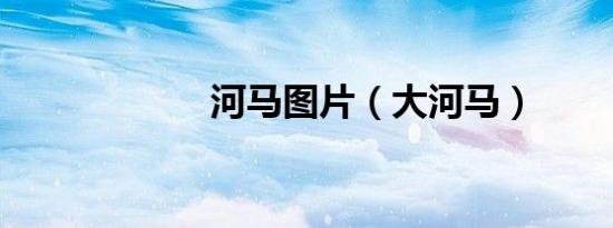 河马图片（大河马）