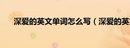 深爱的英文单词怎么写（深爱的英文）