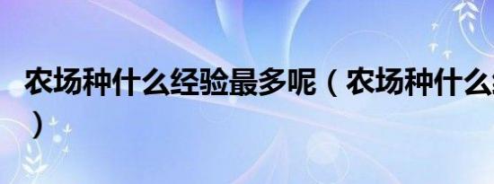 农场种什么经验最多呢（农场种什么经验最多）
