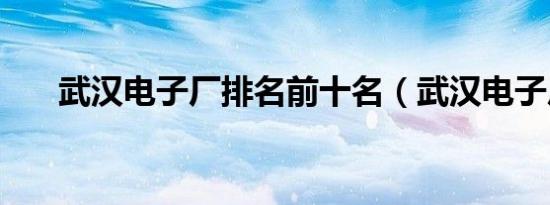 武汉电子厂排名前十名（武汉电子厂）