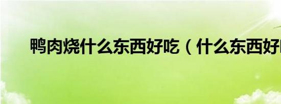 鸭肉烧什么东西好吃（什么东西好吃）
