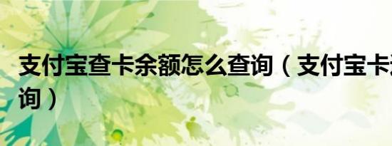 支付宝查卡余额怎么查询（支付宝卡通余额查询）