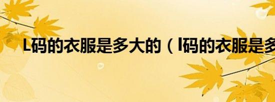 L码的衣服是多大的（l码的衣服是多大）