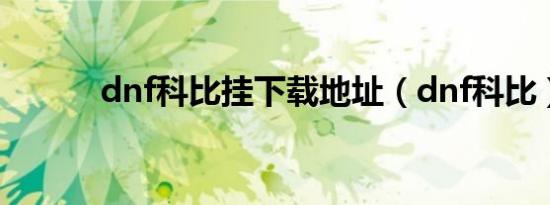 dnf科比挂下载地址（dnf科比）