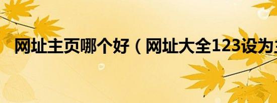 网址主页哪个好（网址大全123设为主页）