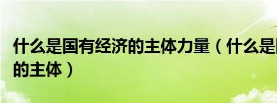 什么是国有经济的主体力量（什么是国有经济的主体）