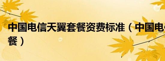 中国电信天翼套餐资费标准（中国电信天翼套餐）