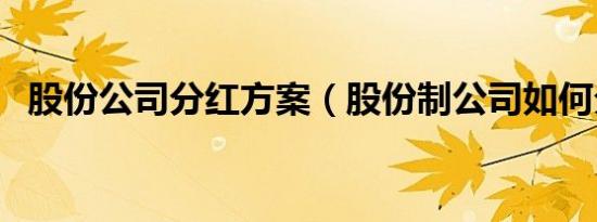 股份公司分红方案（股份制公司如何分红）