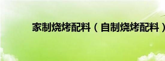 家制烧烤配料（自制烧烤配料）