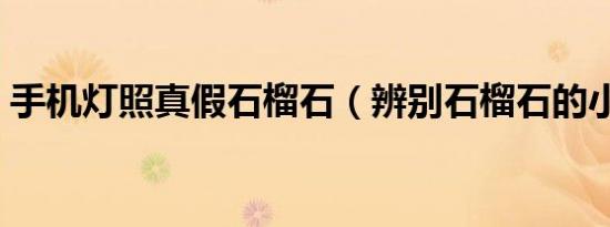支付宝怎么认证商家收款码（支付宝怎么认证商家）
