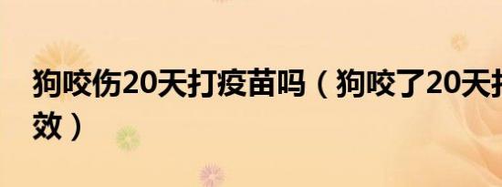 狗咬伤20天打疫苗吗（狗咬了20天打针还有效）