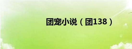团宠小说（团138）