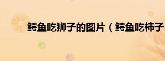 鳄鱼吃狮子的图片（鳄鱼吃柿子）