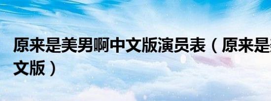 原来是美男啊中文版演员表（原来是美男啊中文版）