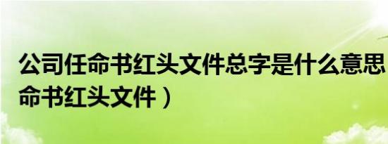 公司任命书红头文件总字是什么意思（公司任命书红头文件）
