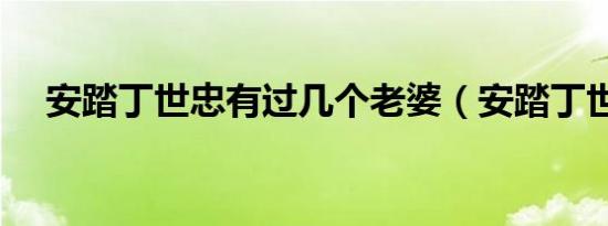 安踏丁世忠有过几个老婆（安踏丁世忠）