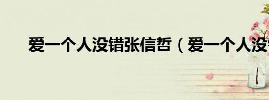 爱一个人没错张信哲（爱一个人没错）