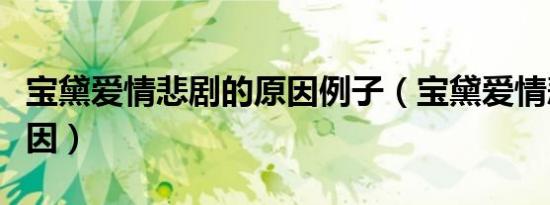宝黛爱情悲剧的原因例子（宝黛爱情悲剧的原因）