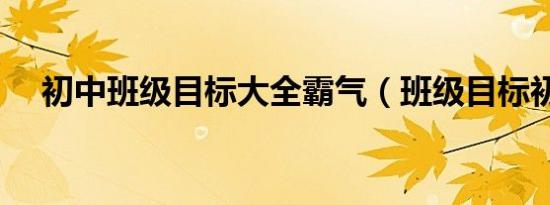初中班级目标大全霸气（班级目标初中）