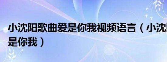 小沈阳歌曲爱是你我视频语言（小沈阳歌曲爱是你我）