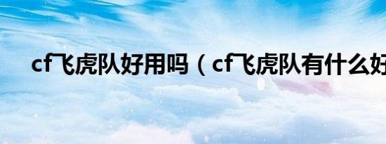 cf飞虎队好用吗（cf飞虎队有什么好处）