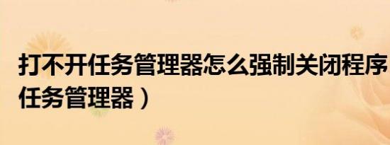 打不开任务管理器怎么强制关闭程序（打不开任务管理器）