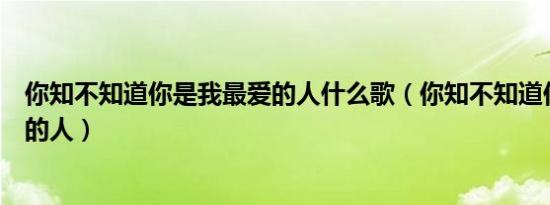 你知不知道你是我最爱的人什么歌（你知不知道你是我最爱的人）