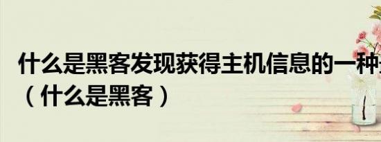 什么是黑客发现获得主机信息的一种最佳途径（什么是黑客）