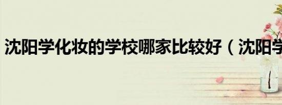 沈阳学化妆的学校哪家比较好（沈阳学化妆）
