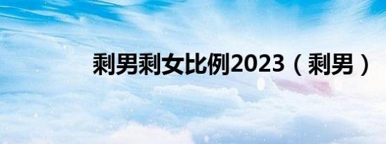 剩男剩女比例2023（剩男）