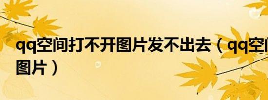 qq空间打不开图片发不出去（qq空间打不开图片）