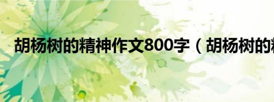 胡杨树的精神作文800字（胡杨树的精神）