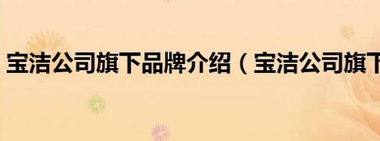 宝洁公司旗下品牌介绍（宝洁公司旗下品牌）